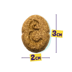 Banana Peanut Butter Biscuits