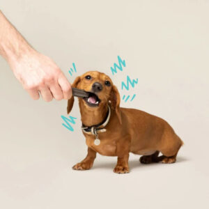dentalChewTime.jpg Doggy Dental Apple & Eucalyptus