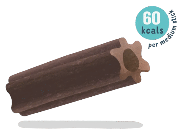 dentalLighterStickIcon.png Doggy Dental Apple & Eucalyptus