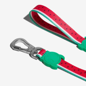 guia-para-cachorros-lola-melancia-zeedog-cachorro-pet-main-04.jpg Leash LOLA