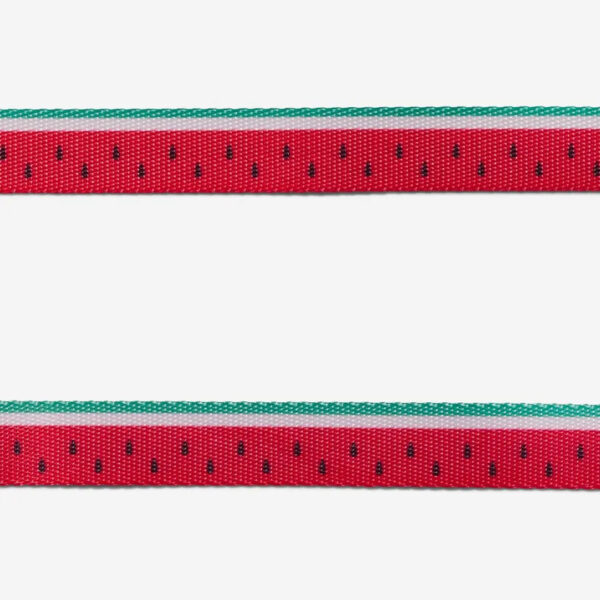 guia-para-cachorros-lola-melancia-zeedog-cachorro-pet-main-06.jpg Leash LOLA