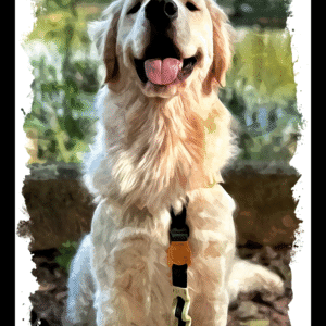 Digital Watercolour Image Dog Portrait