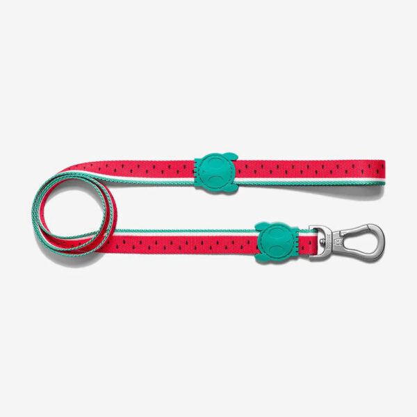 zee_dog_lola_dog_leash_main-1_2376x_e9484a49-61ee-43a3-bb09-88ef6ffd5baa.jpg Leash LOLA