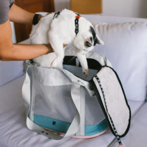zeedog-cat-carrying-bag-kombucha_main-3_2376x_d7a7ef91-f648-453e-abf1-604f27a70bc0.jpg Zee.Cat Carrier Bag KOMBUCHA