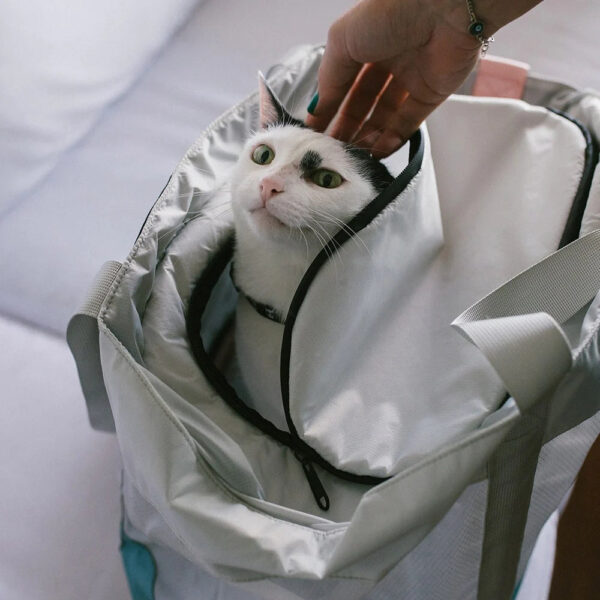 zeedog-cat-carrying-bag-kombucha_main-4_2376x_2c26cb55-8730-4fa1-a9f7-31f843c5b364.jpg Zee.Cat Carrier Bag KOMBUCHA