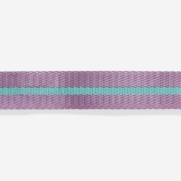 zeedog-cat-collar-aura_main-2.jpg Cat Collar AURA