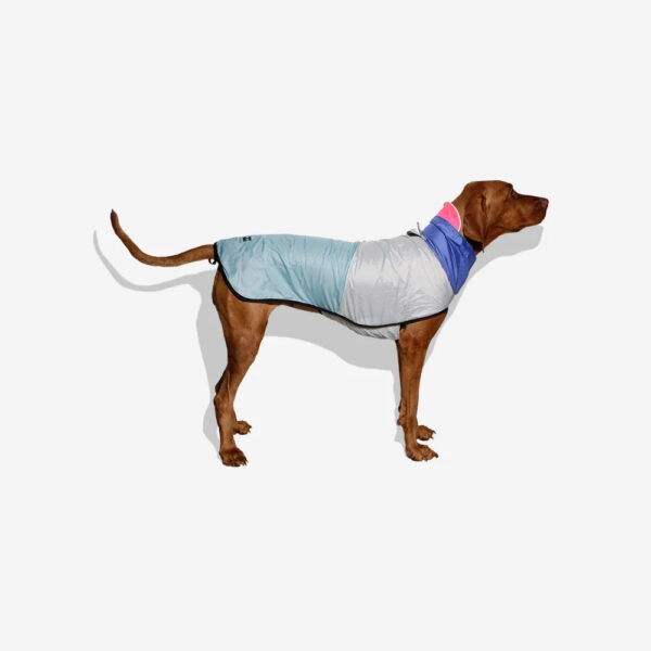 zeedog-rain-coat-90s_main-3_2376x_c7f14d89-ba27-4649-ad10-bad4323c2eda.jpg Raincoat 90'S