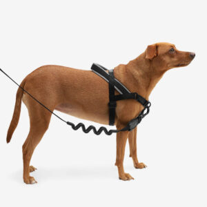 zeedog-soft-walk-harness-gotham_main-3_2376x_202dd45f-1f33-43e5-9c41-f564f4573e2c.jpg SofterWalk Harness GOTHAM