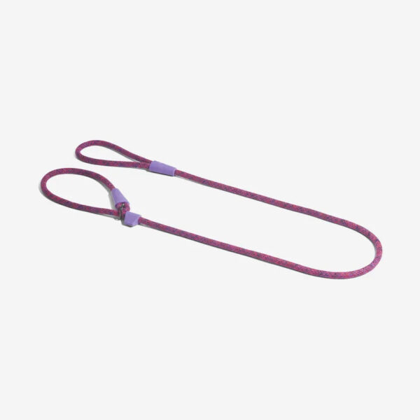 zeedog_dog_leash_slip-on_leash_cosmo_main-1_2376x_42b6ccd5-b5c1-4d19-a5ea-38af360fbd28.jpg Slip-on Leash